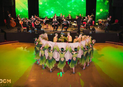 Performance of Virsky ensemble with Hornet