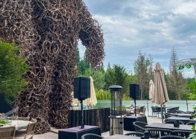 When Prestige Demands Perfection: MAG Audio at Mountain Residence Bukovel